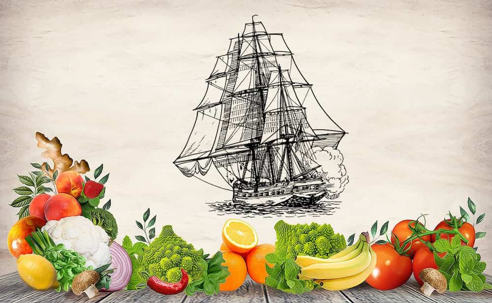 Veganismen föddes inte i en styrelse eller ett laboratorium. Den växte fram ur idéer som varit i omlopp i århundraden, tankar om vad som är rätt och fel, om djur, om människans plats i världen. Någonstans i det antika Grekland funderade Pythagoras över själavandring, medan jainistiska munkar i Indien svepte marken framför sina fötter för att inte skada insekter.
Sedan hände det som alltid händer – idéer föll i glömska, för att senare väckas till liv igen. På 1800-talet började en ny sorts röster höras, personer som Dr. William Lambe och Percy Bysshe Shelley, som inte bara såg kött som onödigt utan som en moralisk avgrund. De var före sin tid, men de var inte ensamma.
När Donald Watson myntade ordet vegan 1944 var det en stillsam revolution. En grupp människor som bestämde sig för att ord inte räckte – det krävdes handling. Sedan dess har världen förändrats snabbare än någon kunde förutse. Vetenskap, industri och aktivism har samverkat för att flytta gränser.
Men framtiden är inte skriven. Gamla vanor dör långsamt, och motståndet är starkt. Industrin kämpar emot, politiken vacklar, kulturer klamrar sig fast vid det välbekanta. Ändå rör sig något, om än långsamt. Det som en gång var otänkbart har redan hänt. Och det som idag känns omöjligt? Vänta bara.
